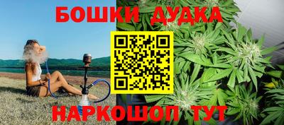 индика Балахна