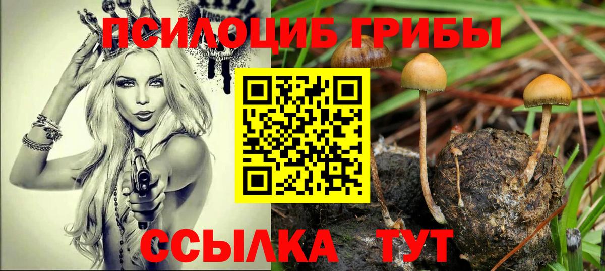 Псилоцибиновые грибы мицелий Дмитров