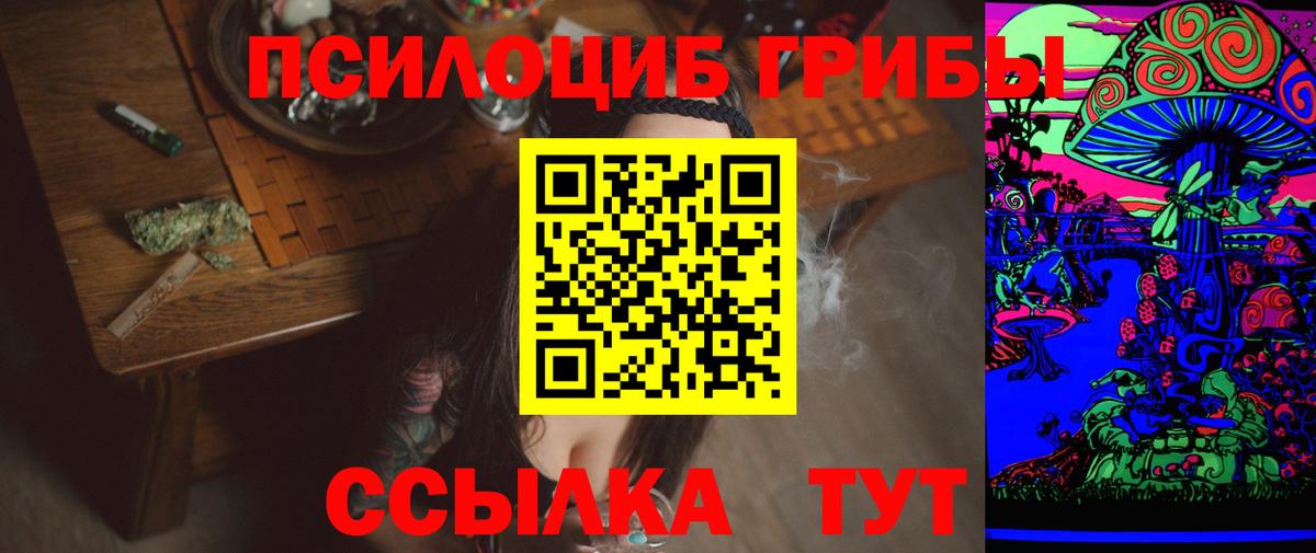 купить закладку  Псилоцибиновые грибы Psilocybine cubensis  Вход с VPN  Дмитров  Псилоцибиновые грибы Psilocybine cubensis 